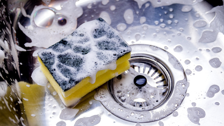 Soapy sponge in sink