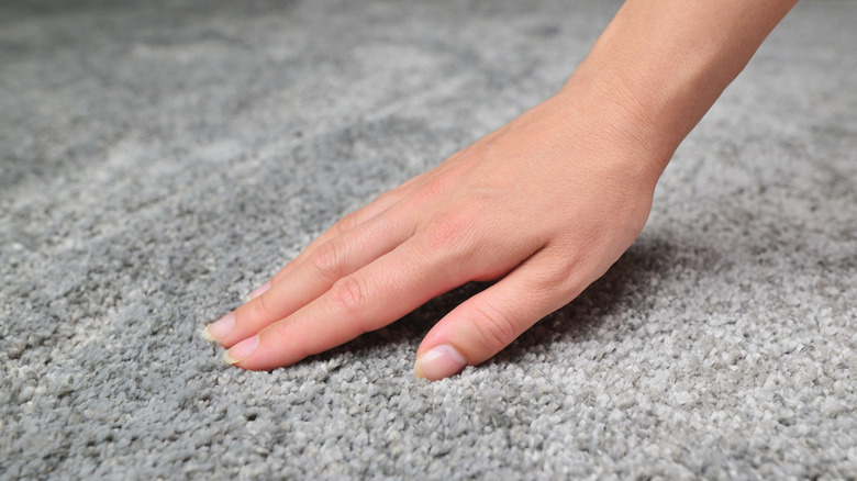 Woman touching carpet