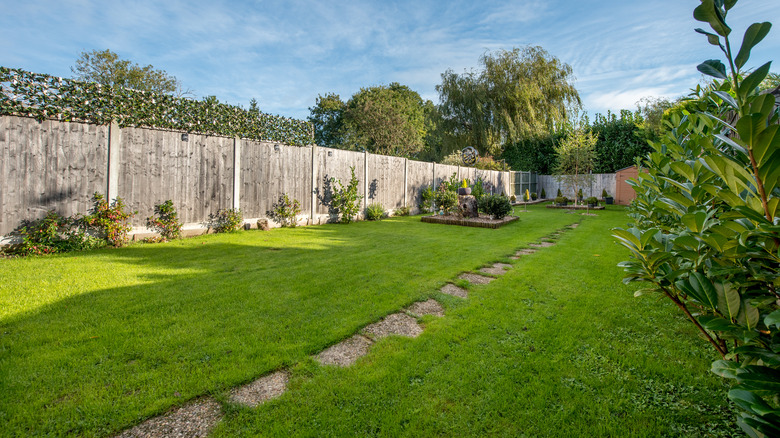 backyard with trees