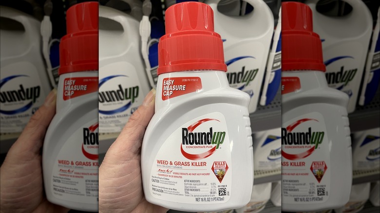 Holding Roundup in store