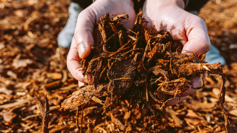 Holding wood chip mulch