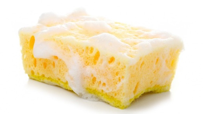 Sponge with soap on it