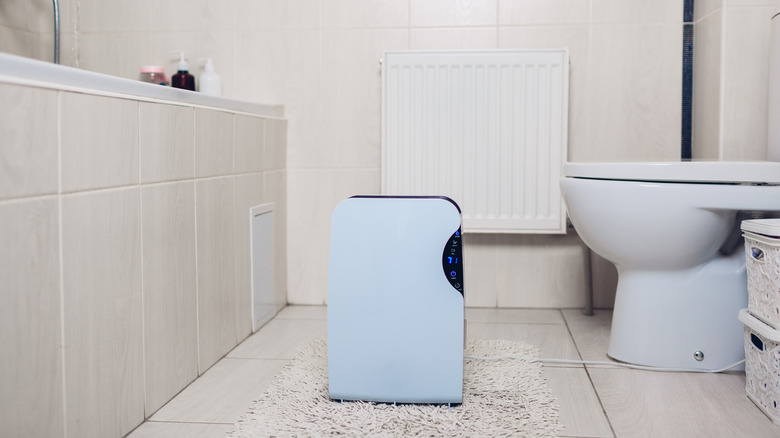 Dehumidifier in bathroom