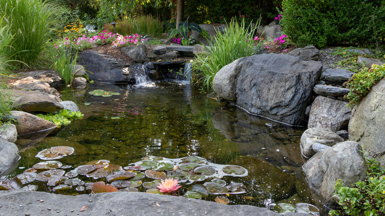 small pond made of rocks