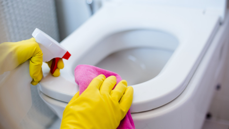 Cleaning toilet with spray bottle