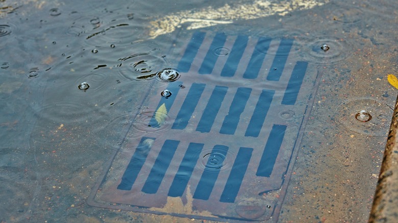 Flooded storm catch basin