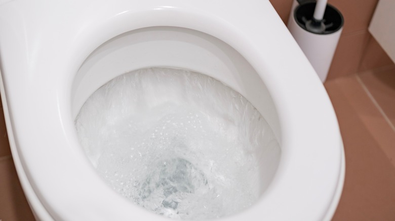 Water in toilet bowl