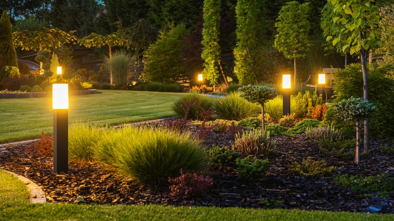 backyard garden with lights