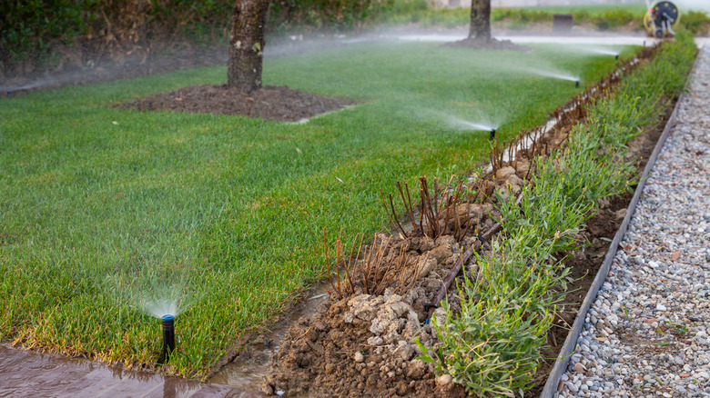 irrigation system watering a lawn