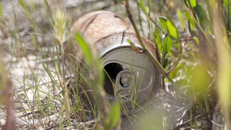 Empty soda can in grass