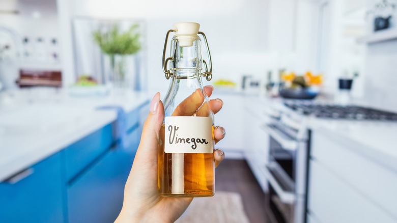 vinegar bottle in a kitchen