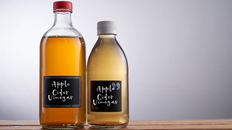 Two bottles of apple cider vinegar