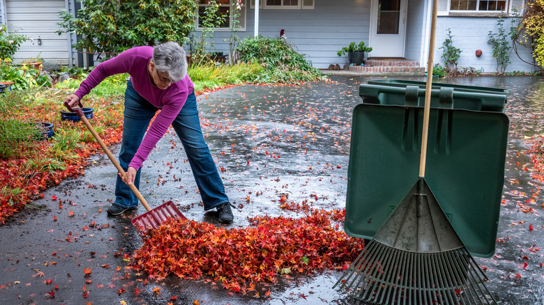Person lifting wet leaves