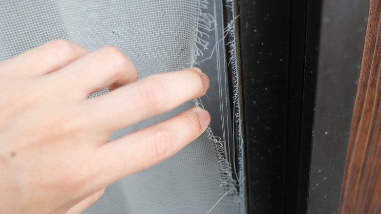 pulling open torn window screen