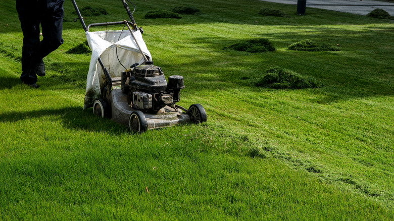 mowing the lawn