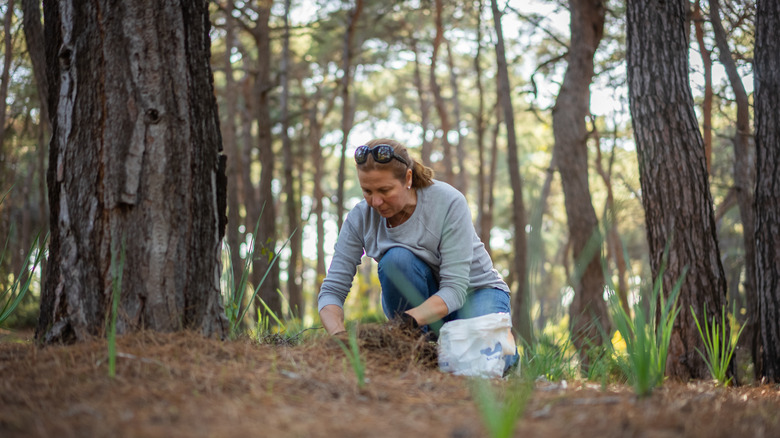 woman removing mushrooms from soil