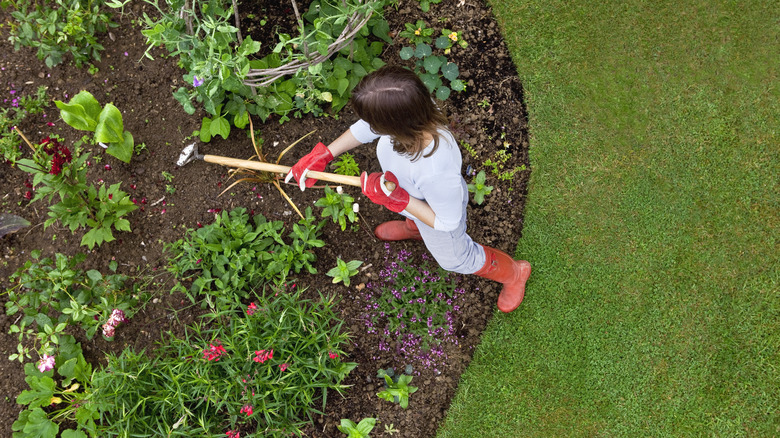 aerial view of person gardening