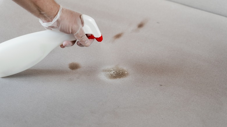 Spraying couch stain with peroxide 