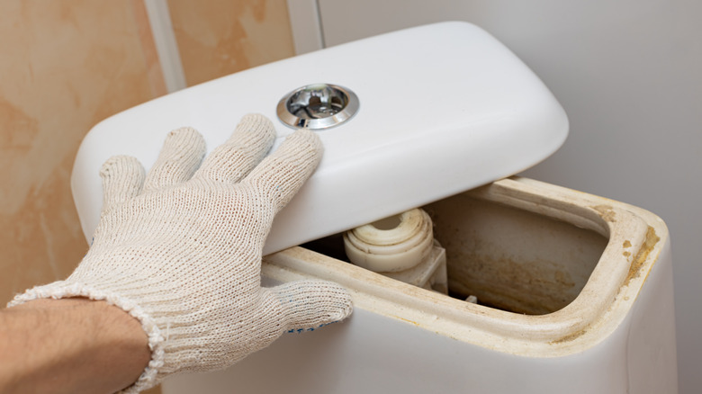 Person opening toilet tank