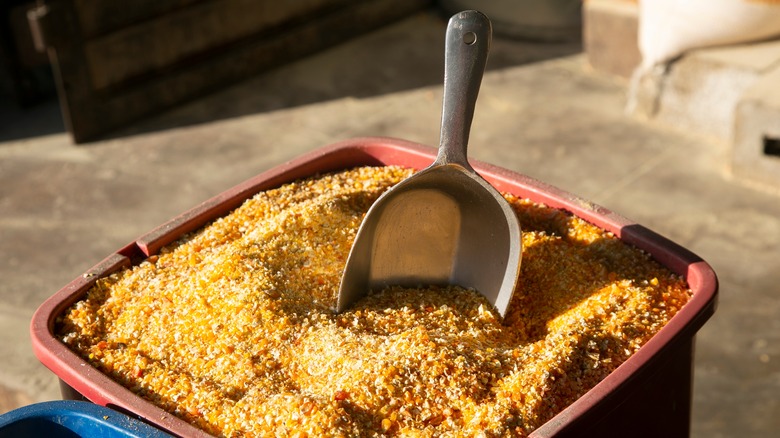 bucket of course ground cornmeal