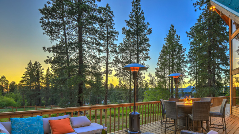 Pine trees in yard