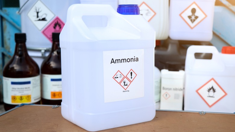 ammonia with warning labels