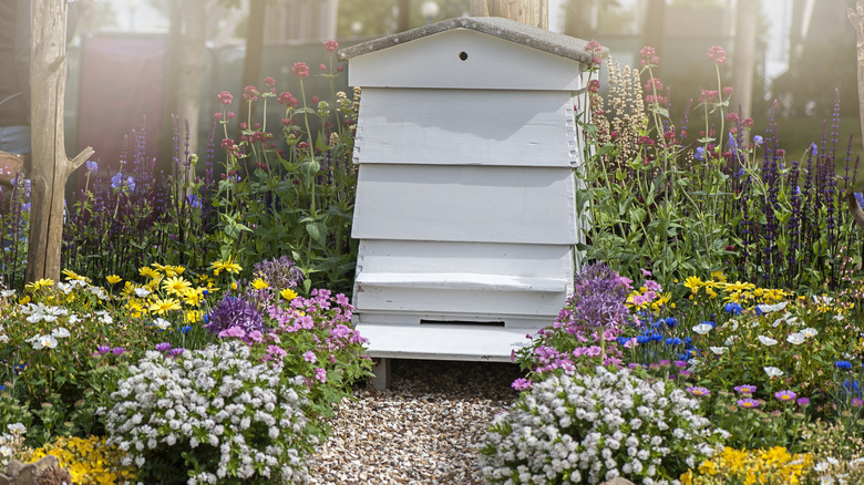 wildflower garden with bee house