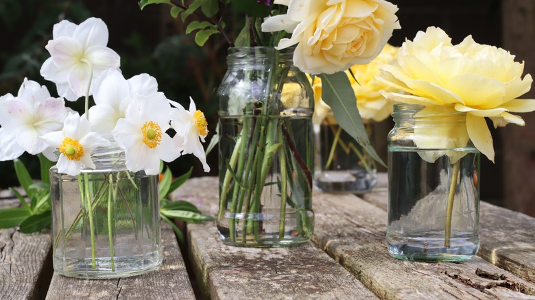 cut flowers in jar vases