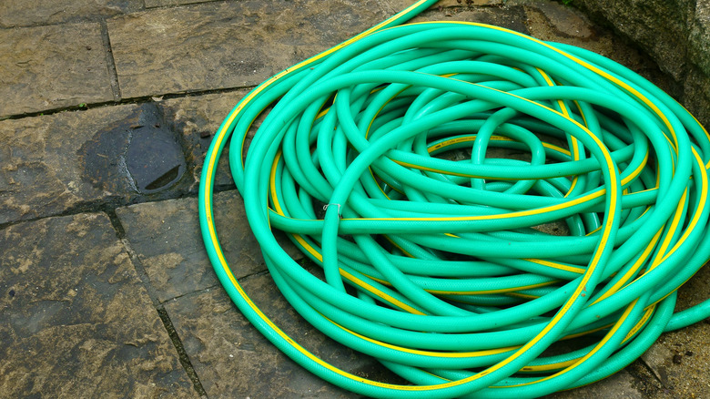 Messy coiled garden hose