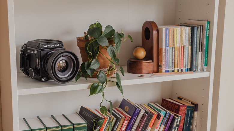 Bookshelf with plant and camera