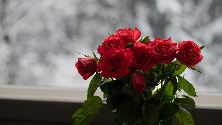 A bouquet of red roses in a vase beside the window