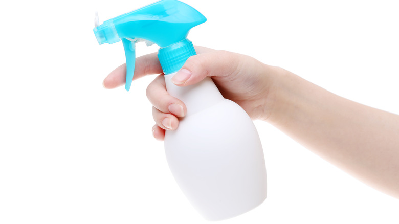 Spray bottle with water