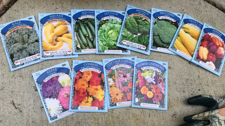 dollar store seed packets