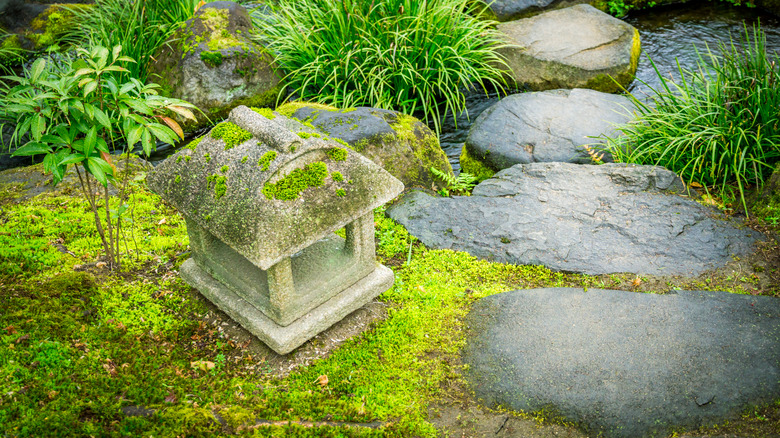 mossy garden