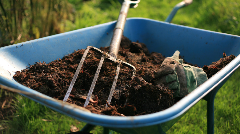 soil in a wheelbarrow