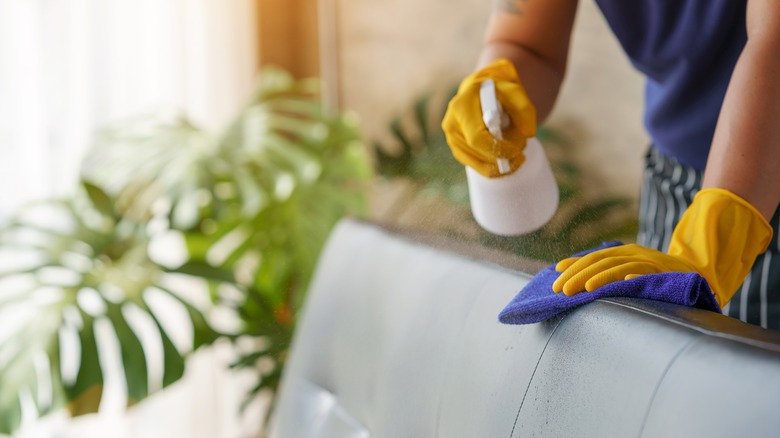 person spray cleaning leather couch