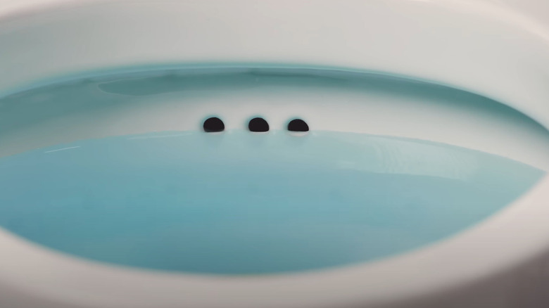 Close-up of an anti-overflow toilet's three extra drain holes.