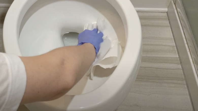 a hand wiping toilet bowl