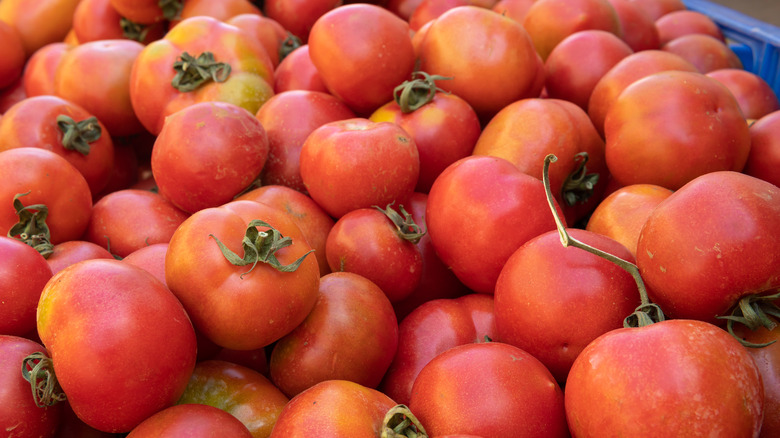 view of ramallet tomatoes