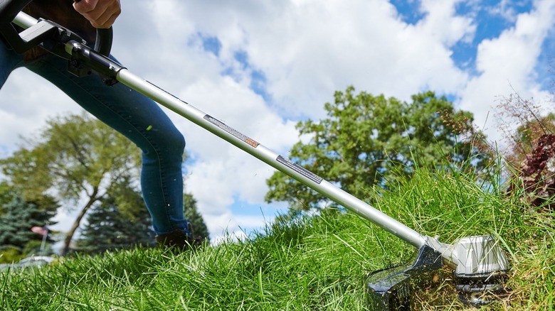 person using Toro weed eater