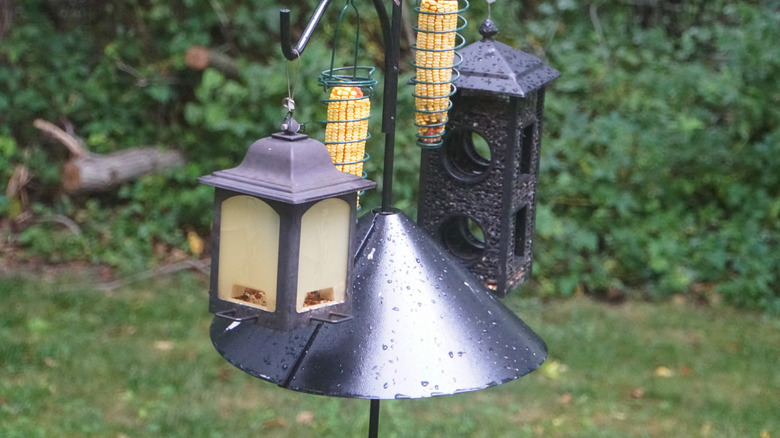 Baffle on bird feeder