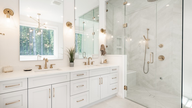 clean mirror and showers door