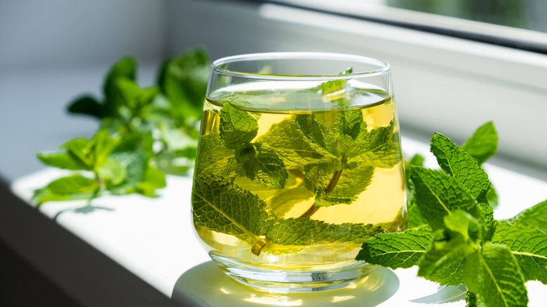 Mint herb in water and leaves