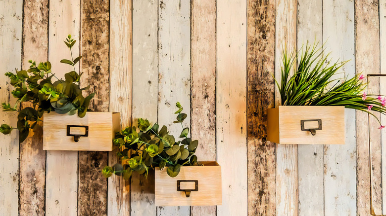 planters hanging on wooden wall 