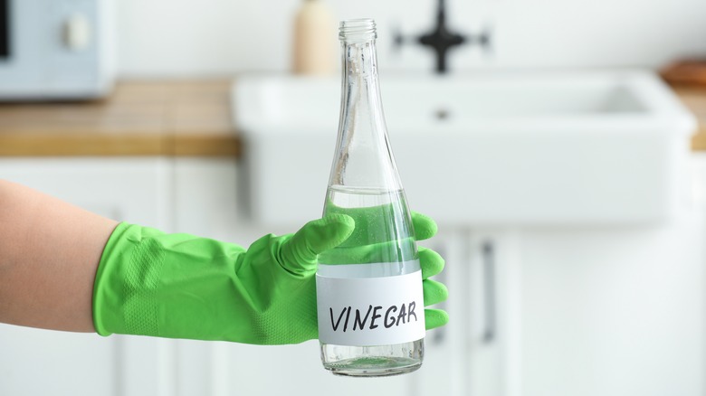 gloved hand vinegar bottle