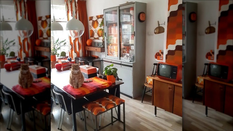 Retro interior of home with cat