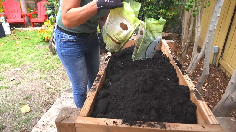 using worm castings in garden bed