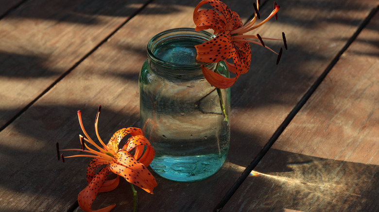 Tiger lily in jar