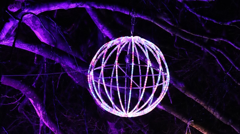 glowing light ball on tree branch