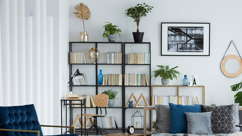 bookcase in bedroom 